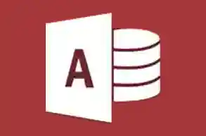 Microsoft Access 2019 wide