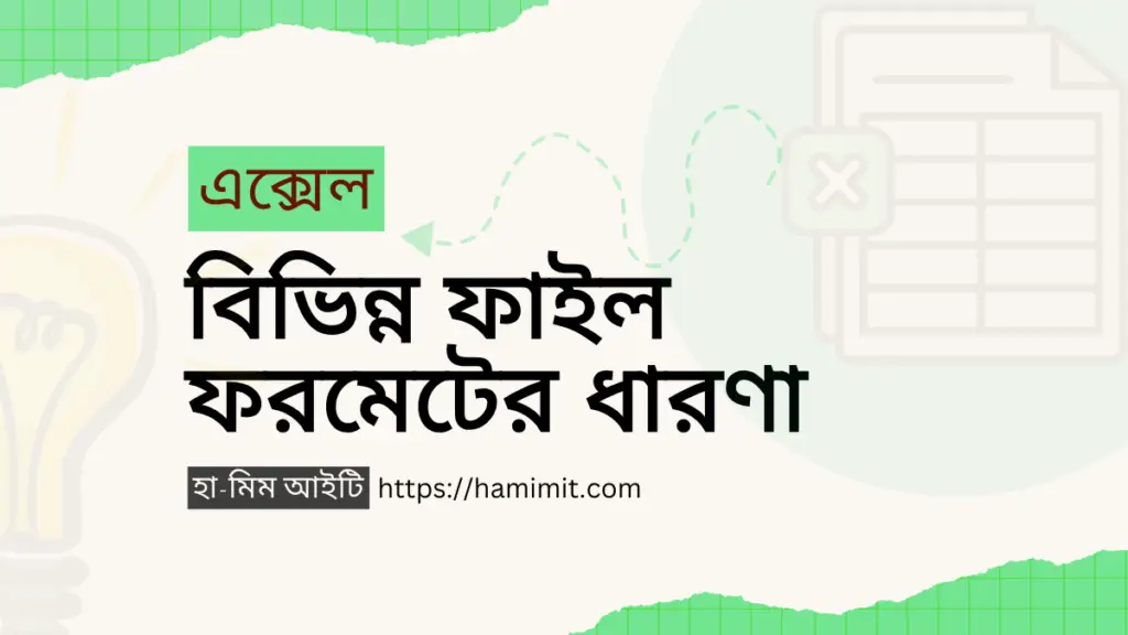 এক্সেল বিভিন্ন ফাইল ফরমেটের ধারণা