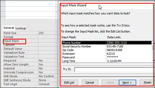 একসেস ফিল্ডে ইনপুট মাস্ক (Input Mask) এর ব্যবহার
