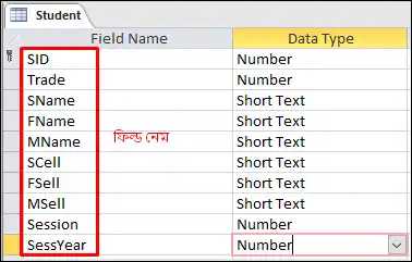 ফিল্ড কি - মাইক্রোসফট এক্সেস ২০১৯