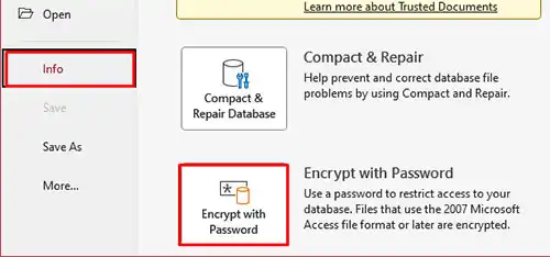 Access database encrypt with password